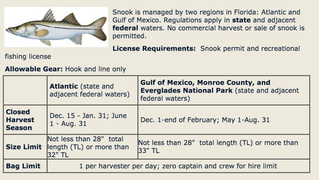 Are You Making These 3 Deadly Mistakes When Releasing Snook?