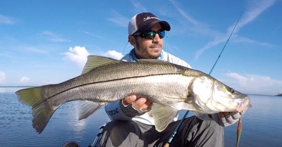 5 Steps To Take Amazing Fish Pictures [How-to video]