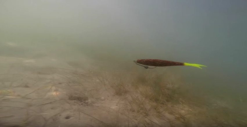 How To Retrieve A Soft Plastic Jerk Bait [Bonus Underwater Footage]