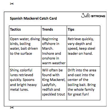 how to catch spanish mackerel