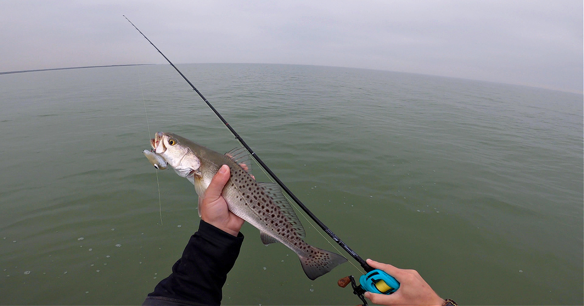 How To Catch Speckled Trout After A Winter Storm