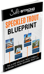 catch speckled trout