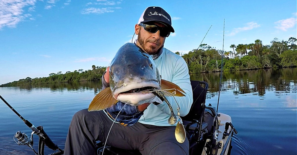 spinnerbaits to catch fall redfish