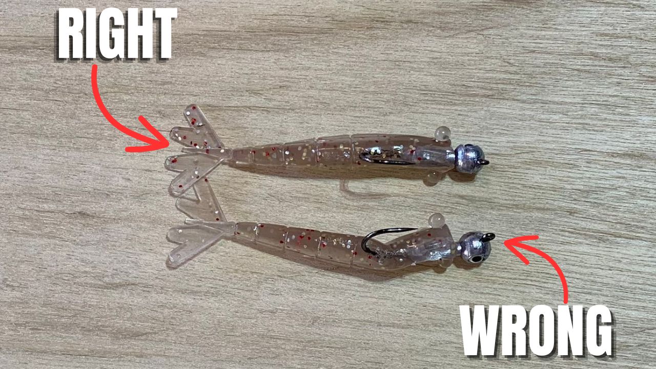 Step By Step Instructions For Rigging Soft Plastic Lures