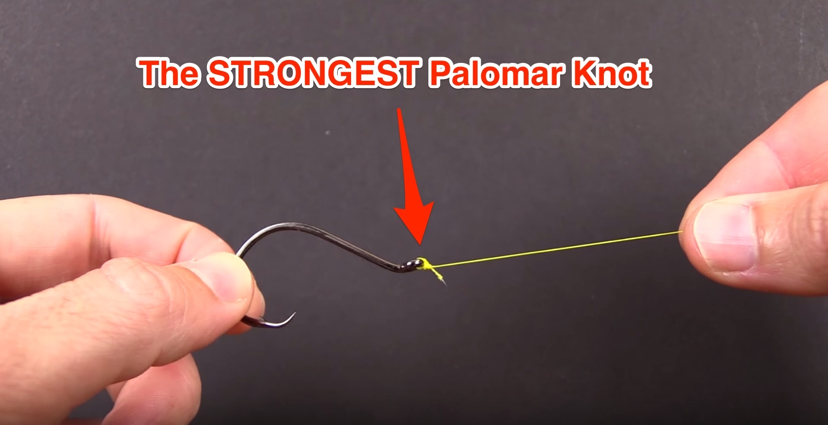 the strongest palomar knot