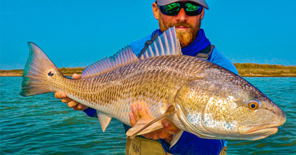only 3 lures you need to catch redfish this summer