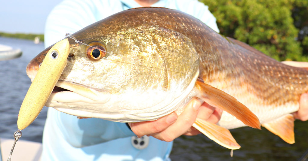 summer redfish tackle and lures