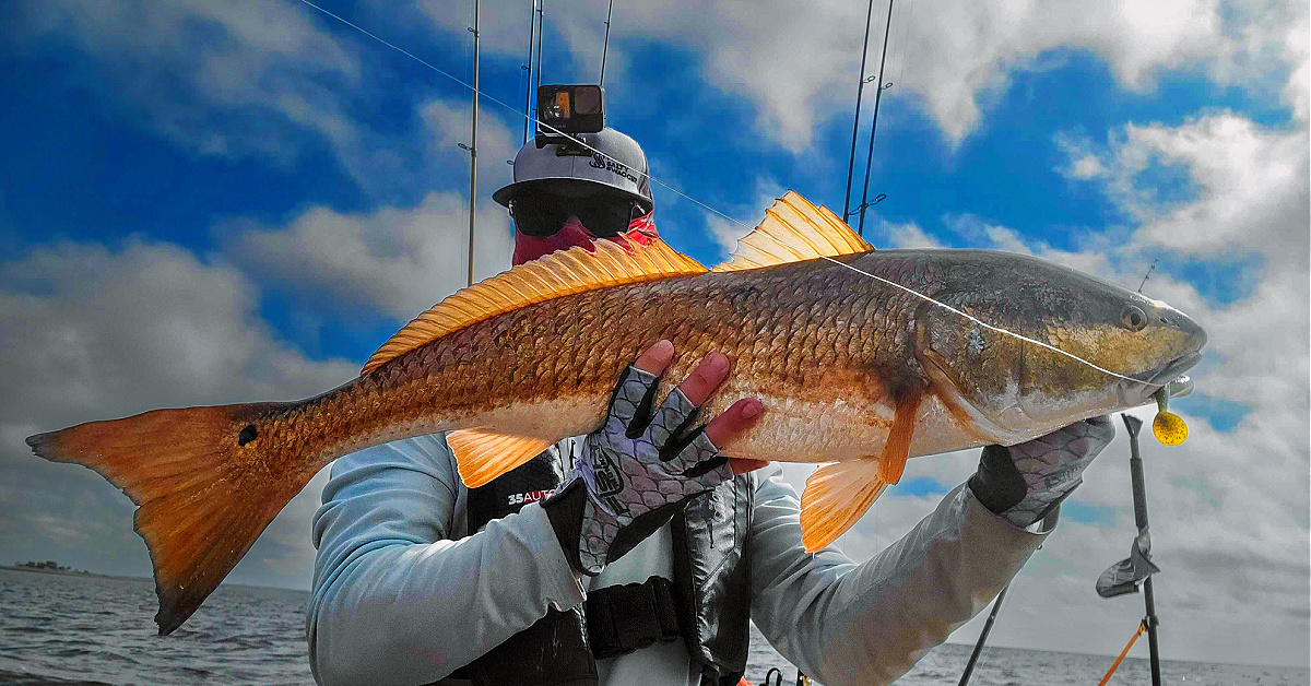 Testing NEW BOMBER Paddletail Lures For BIG Redfish [When To Use]
