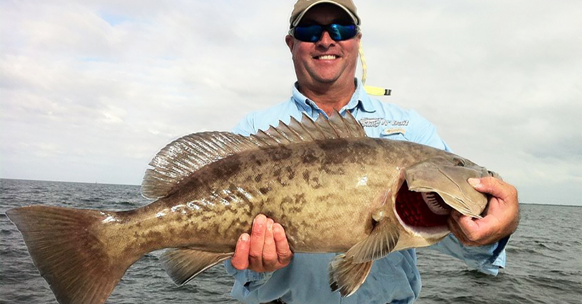 http://tampa%20bay%20inshore%20grouper%20snapper
