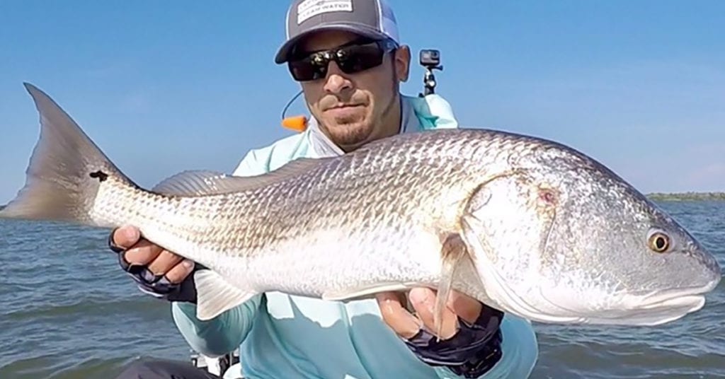 redfish trolling flats