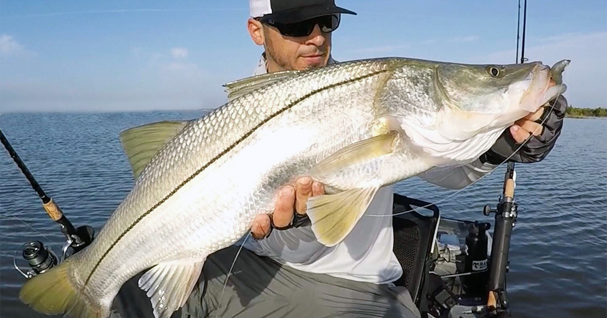 Monster Snook Barely Landed Using SECRET NEW LURE