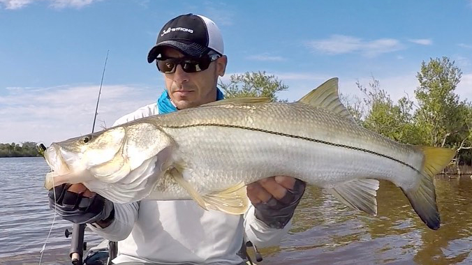 snook on tippet