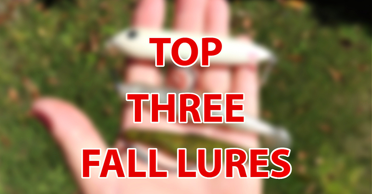 http://lures%20for%20fall%20fishing