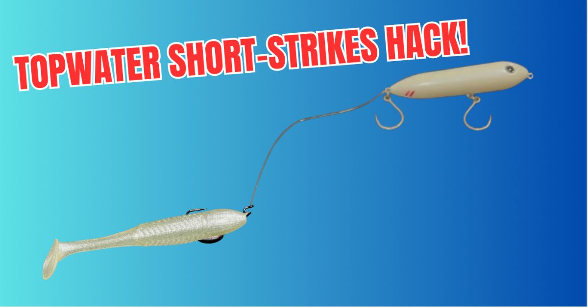 Getting Frustrated By Topwater Short-Strikes? Then Try This