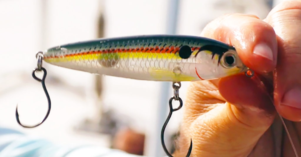 replace topwater lure with single hook