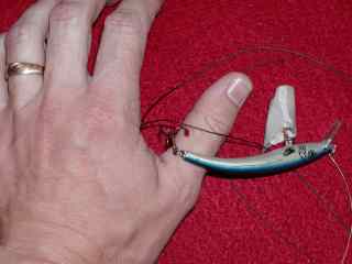 treble hook in thumb