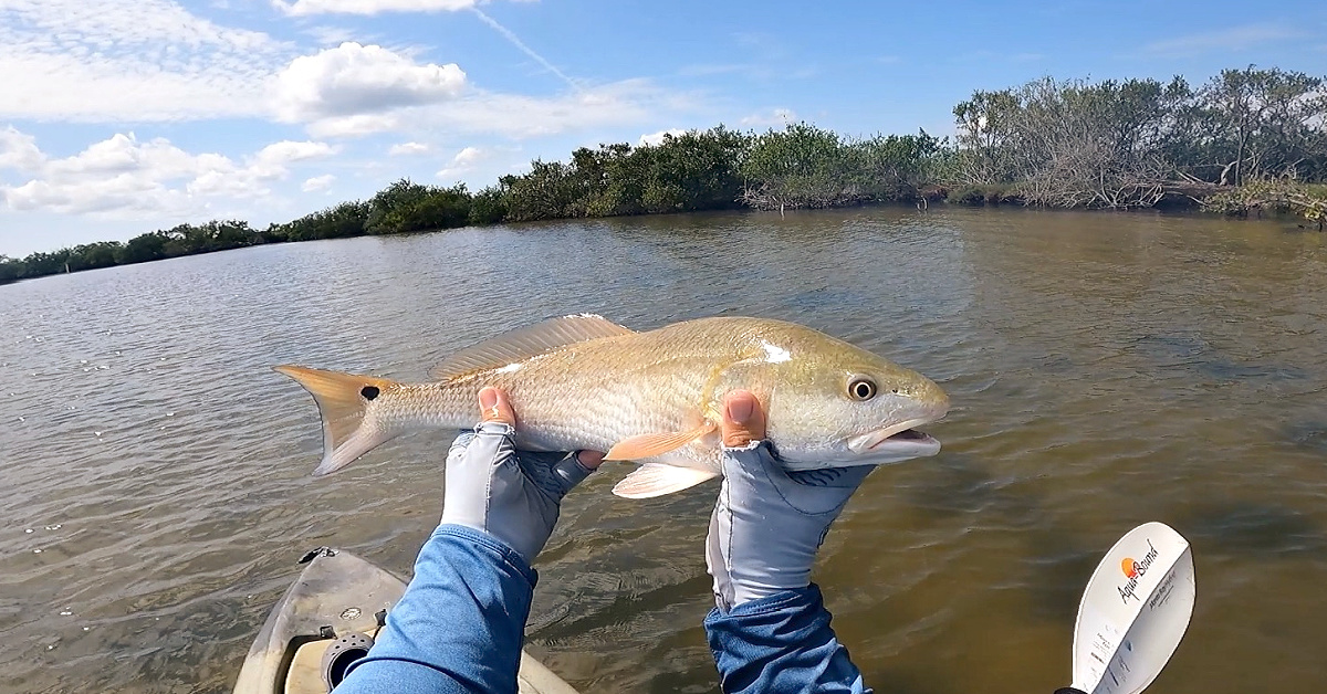 http://targeting%20trout%20and%20redfish%20using%20bass%20fishing%20methods