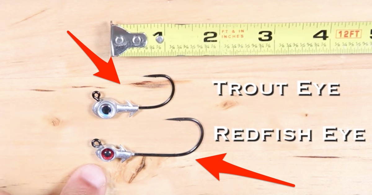 Jig Head Comparison: Redfish Eye Vs. Trout Eye [VIDEO]