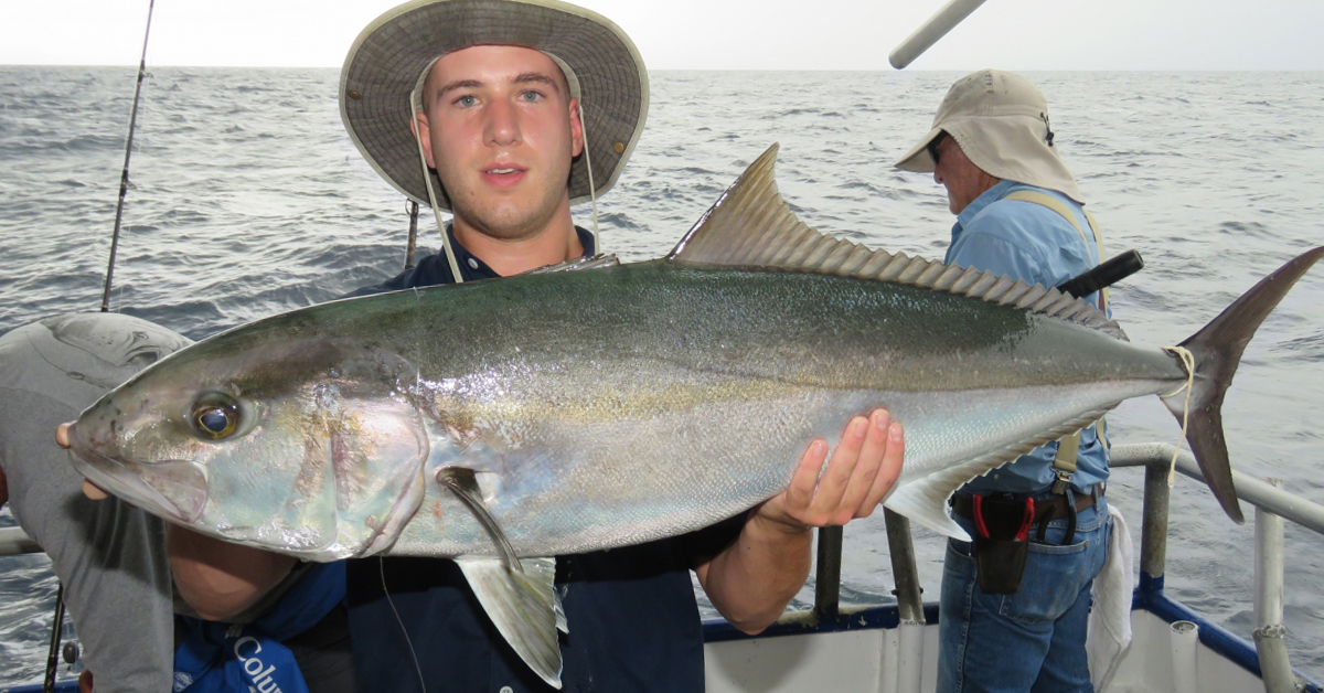 Amberjack from Texas Artificial Reef