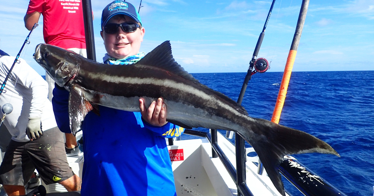 Cobia on Texas Artificial Reef