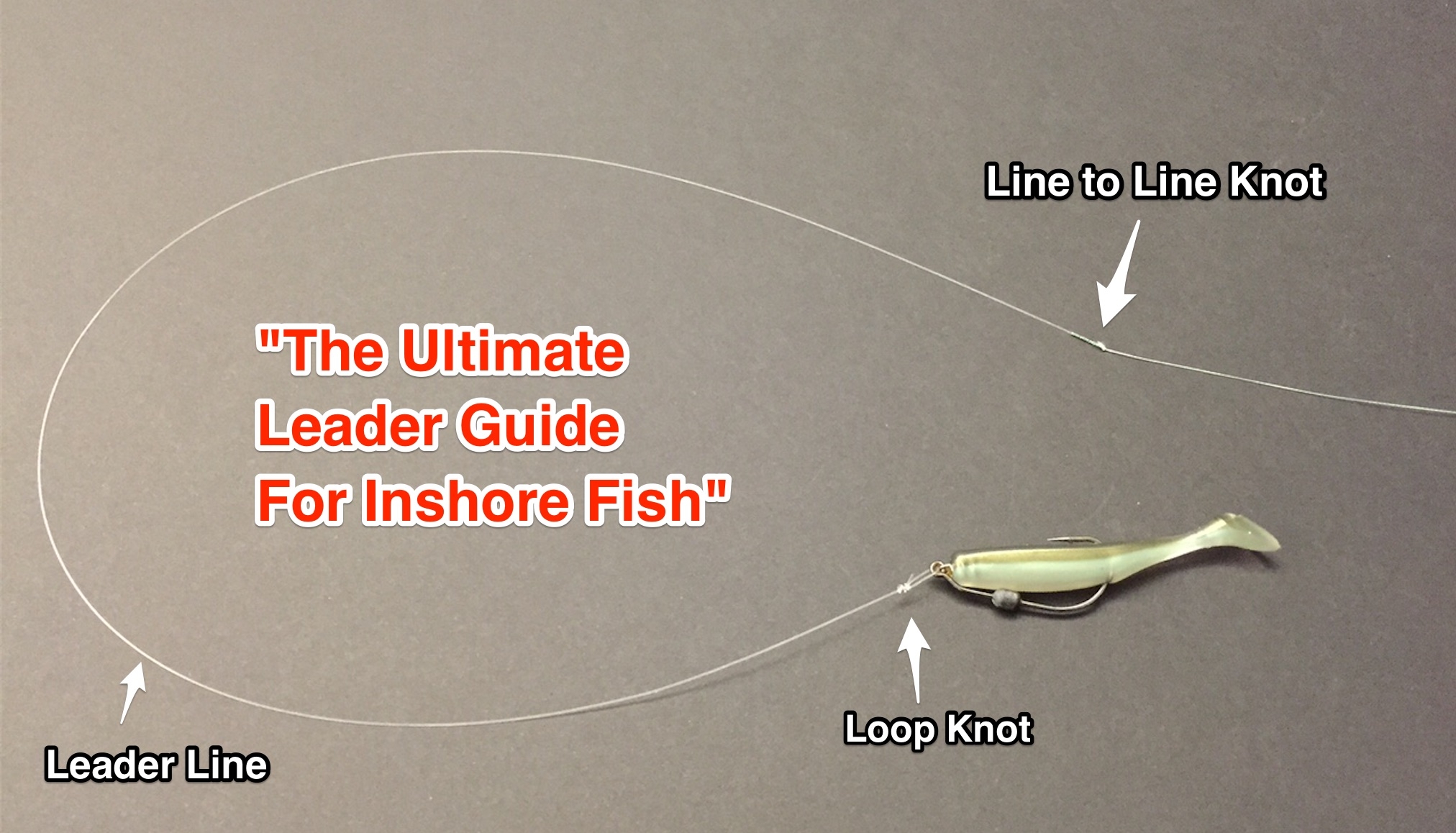 fishing leader guide