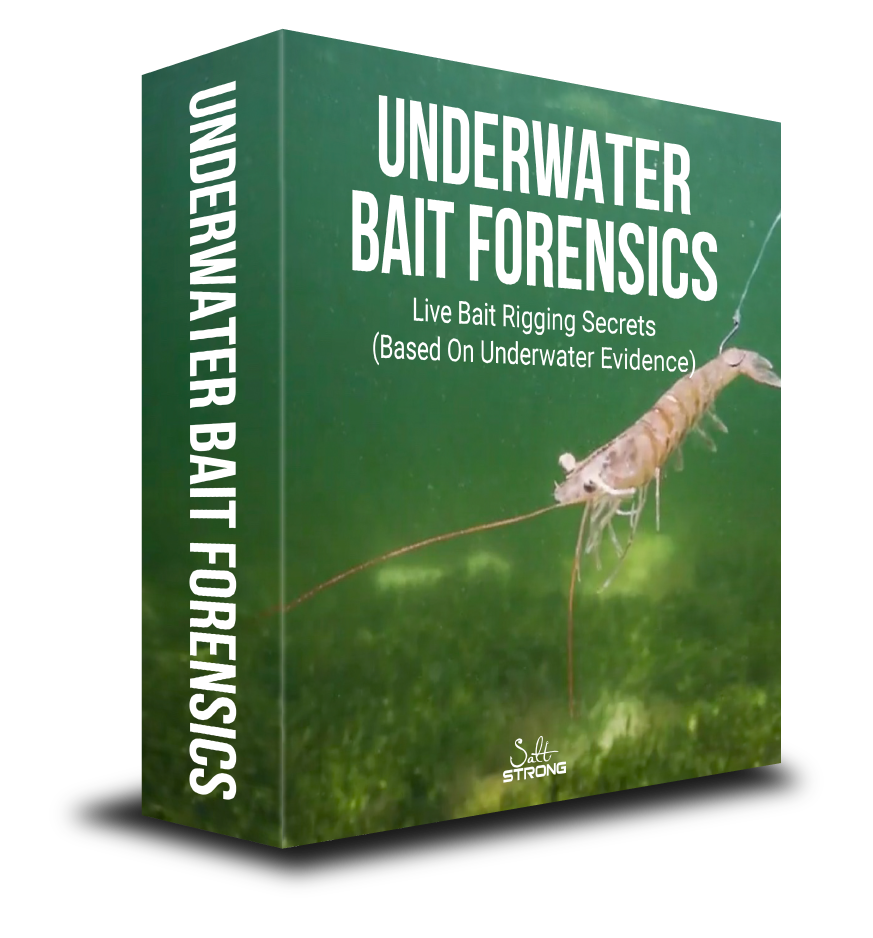 underwater bait forensics