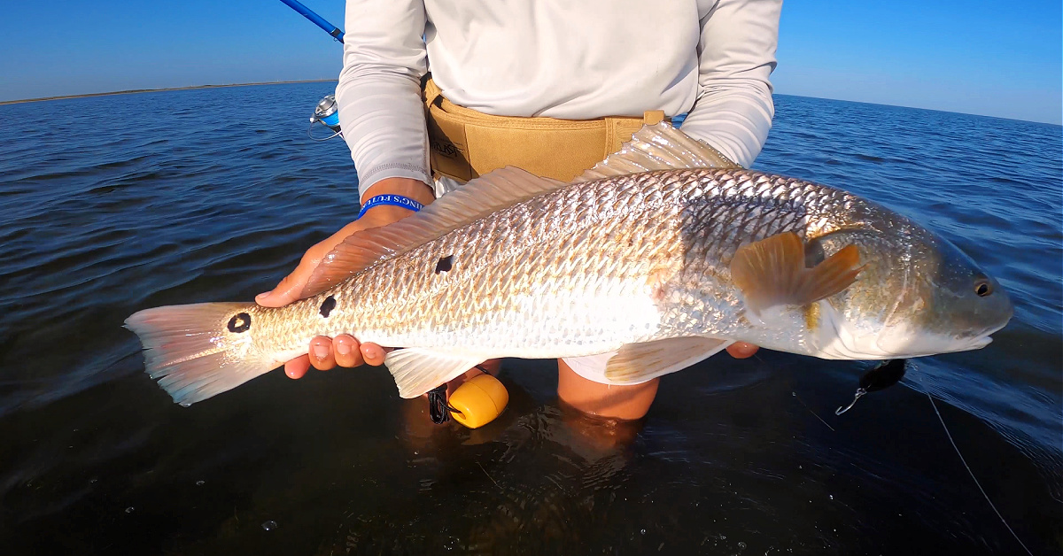 http://wading%20for%20redfish%20at%20low%20tide