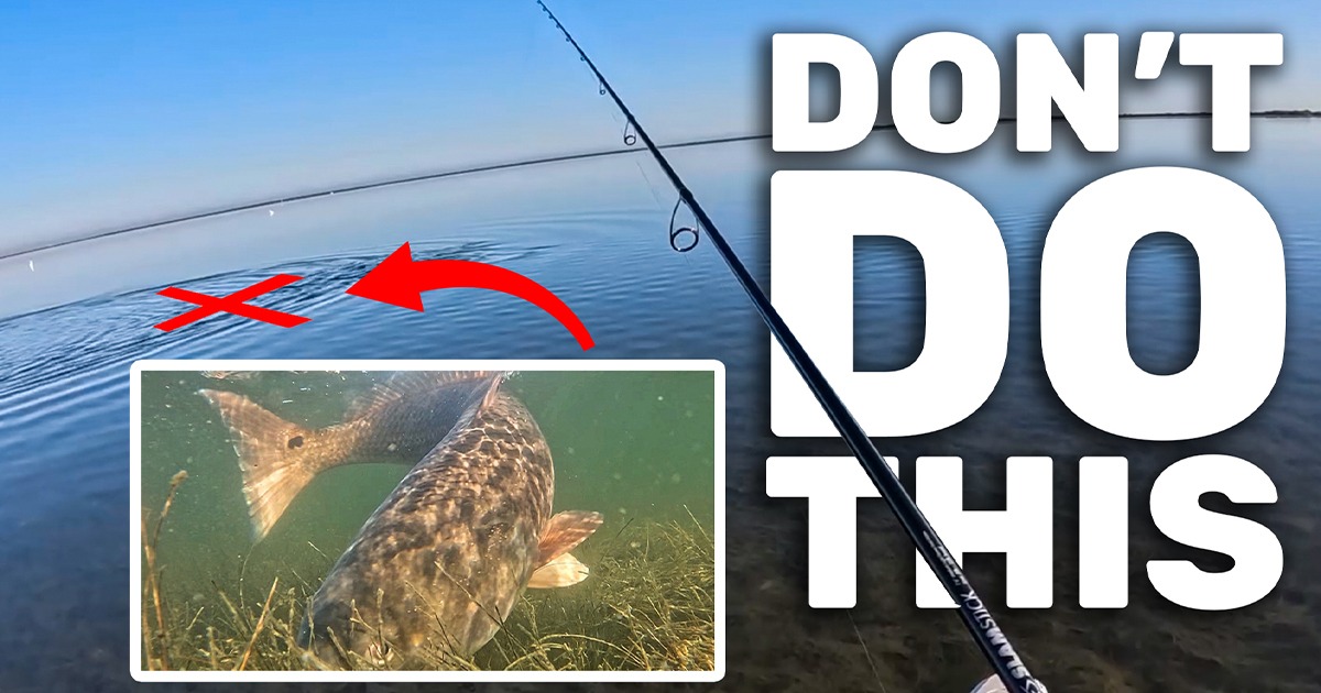 Sight Casting Redfish: The #1 Way Anglers Spook Them