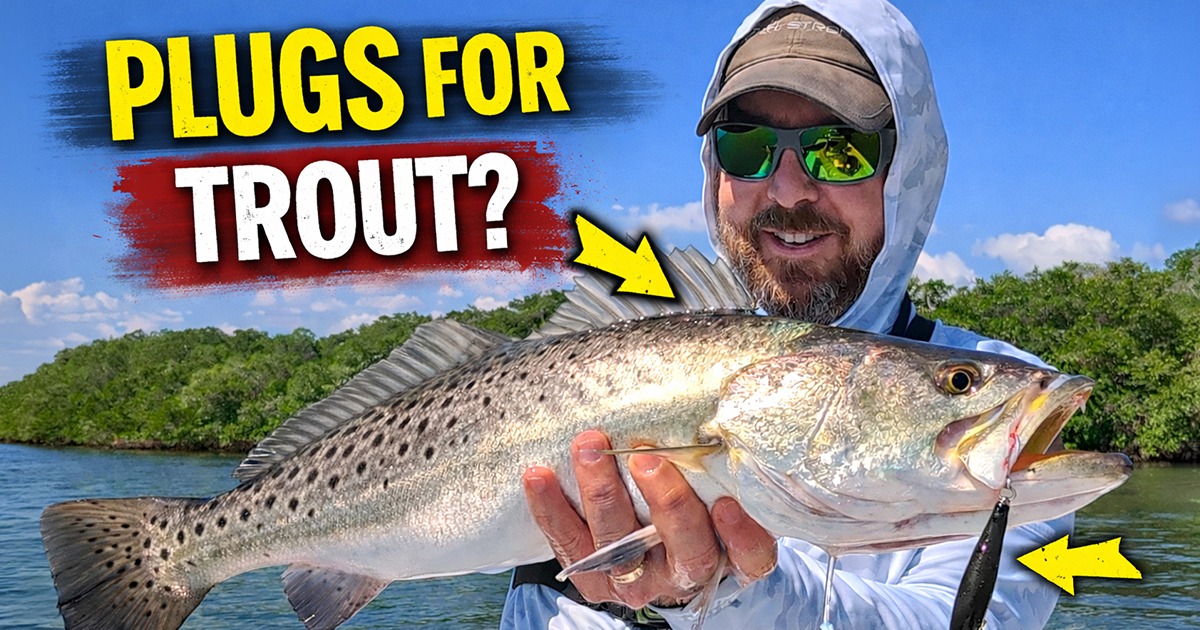 Big Trout Are in Shallow Water - This Plug Catches Them