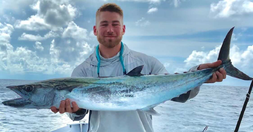 best rig and bait for kingfish