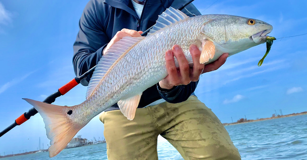 http://the%20science%20behind%20fishing%20for%20redfish