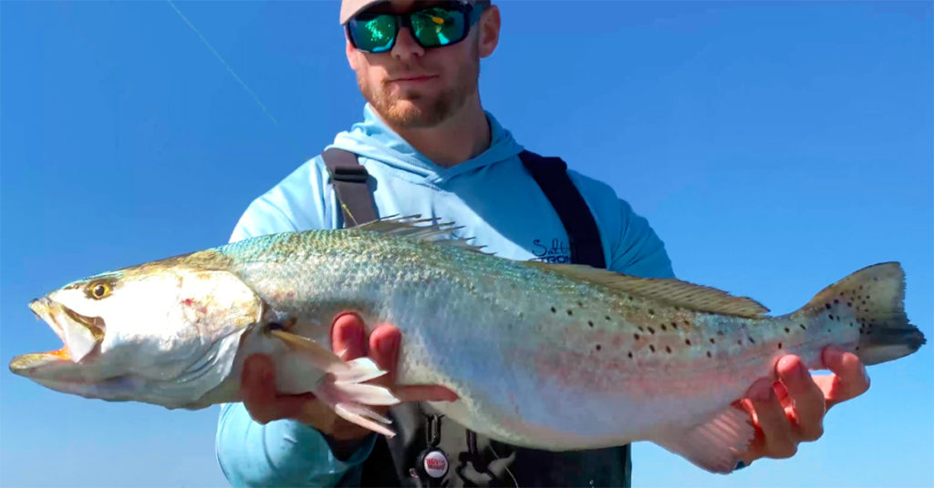 catch big trout on paddletails in late winter or spring
